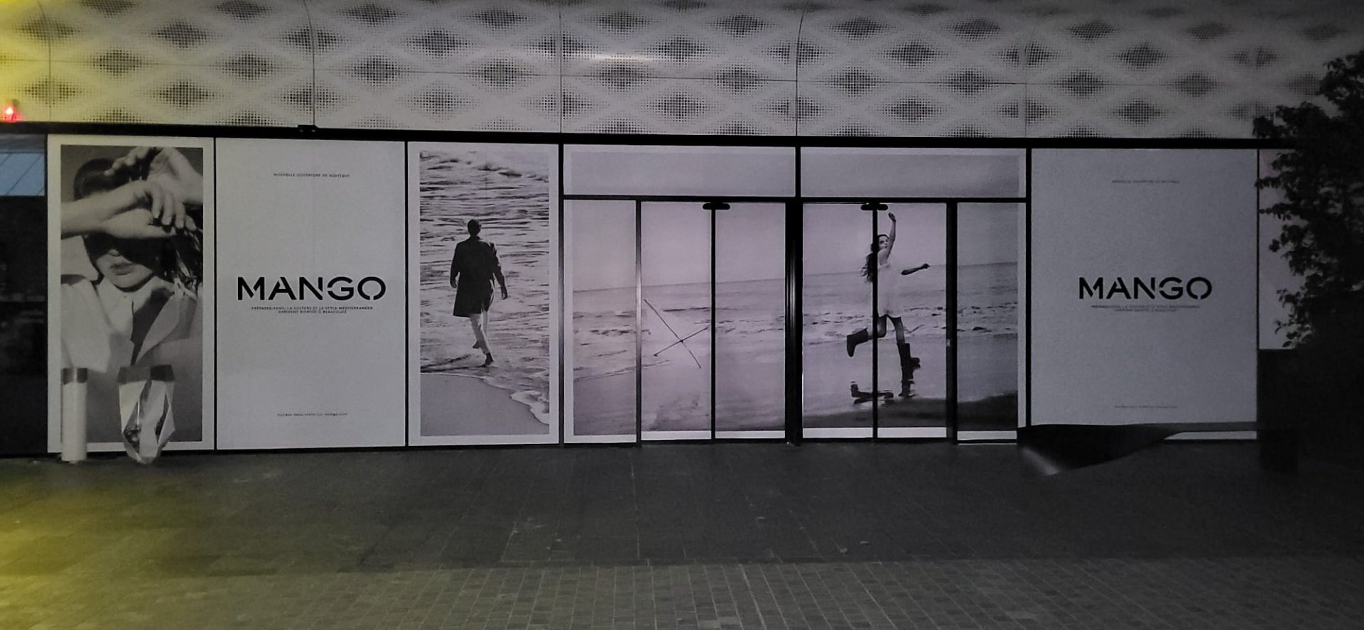 Adhésif sur vitrine