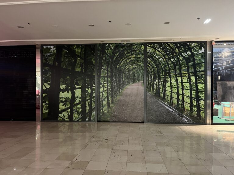 BACHE RIDEAUX ET VINYLE VITRINE